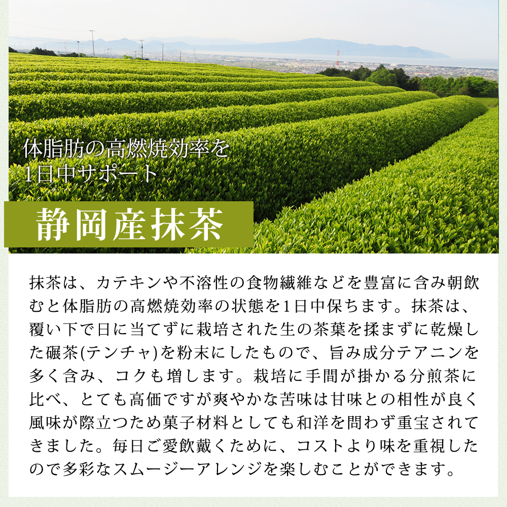 青汁 通販