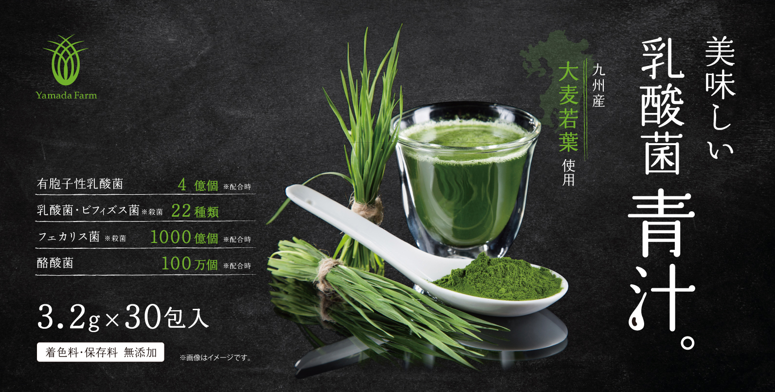 美味しい乳酸菌青汁。