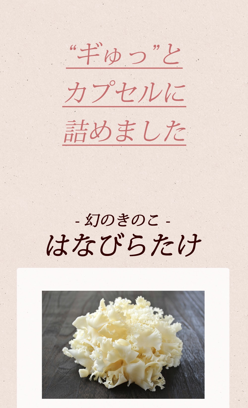 やまだのはたびらたけ