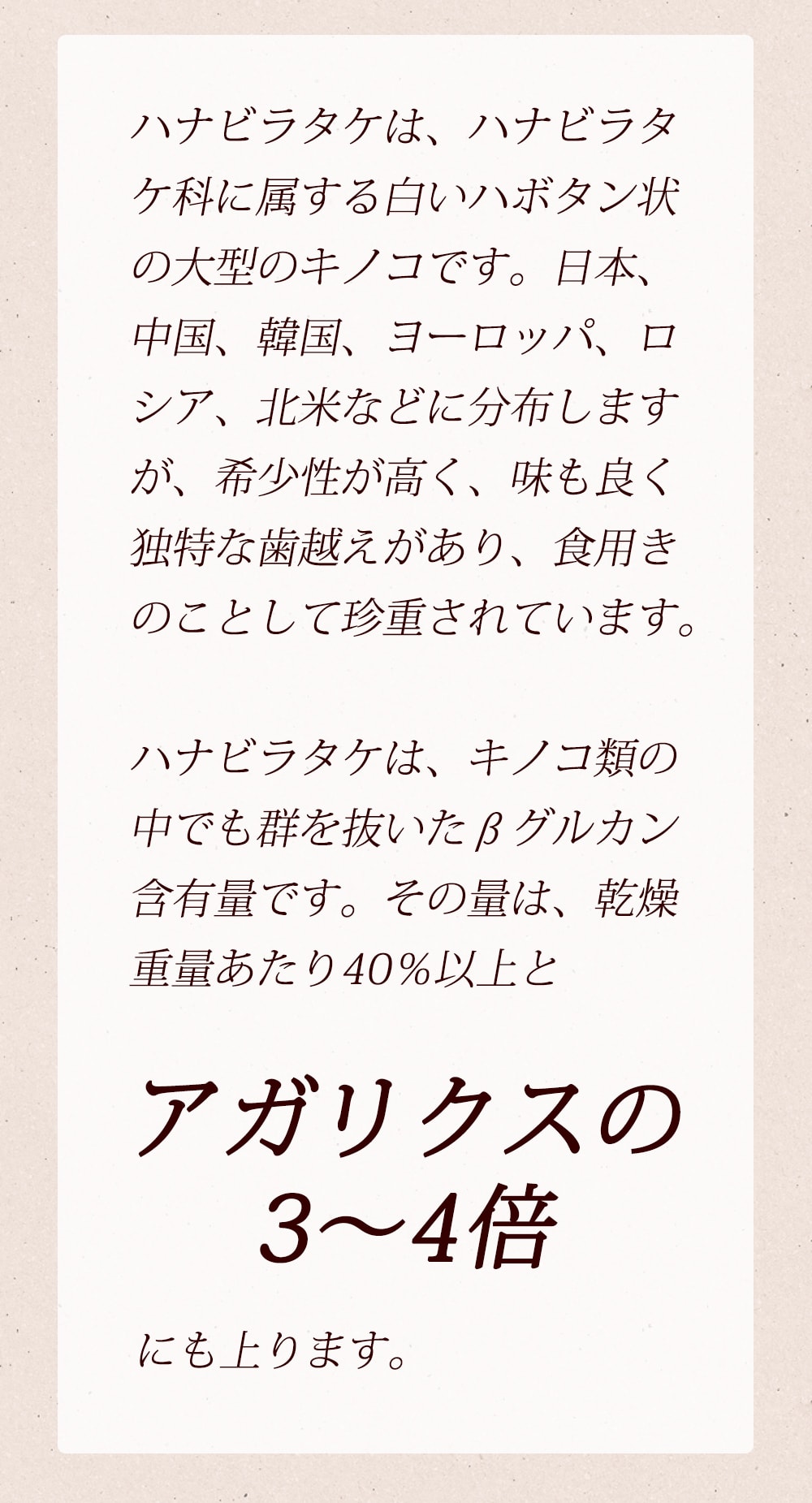 やまだのはたびらたけ